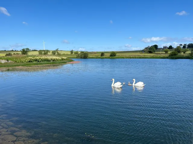 Gillingshill Reservoir & Nature Reserve, Arncroach, Anstruther, Fife, KY10 2RX, photo 1