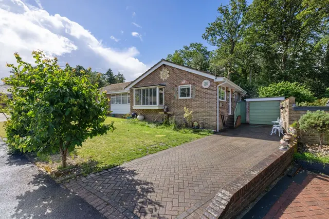 Pitsham Wood, Midhurst, GU29, photo 1