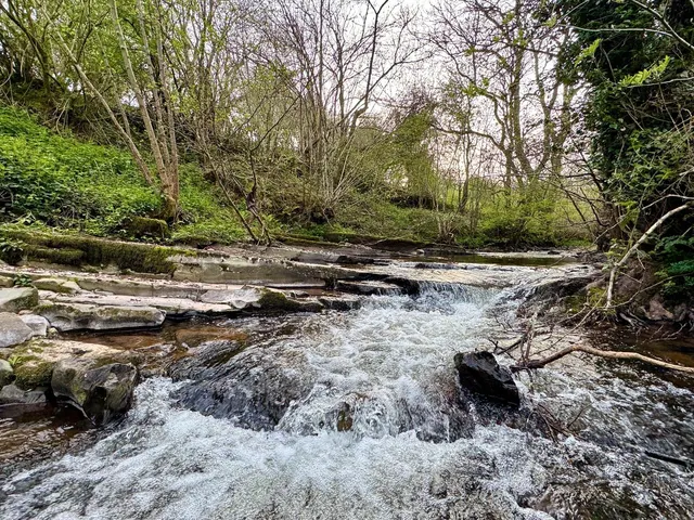 Photo 3 — Gwenddwr, Builth Wells, Powys, LD2 3PZ