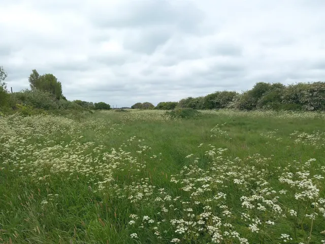 Huttoft Road, Sutton-On-Sea, Mablethorpe, photo 1