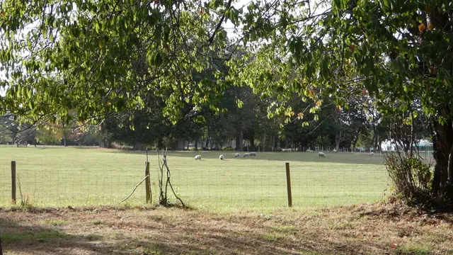 Photo 3 — Leggs lane, Langton Green