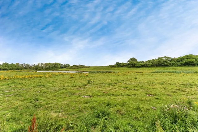 Corbett Avenue, Talacre, CH8, photo 2