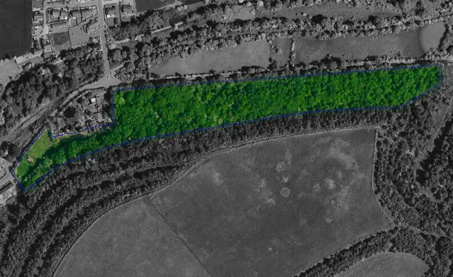 Tinglebridge, Hemingfield, S73, photo 2