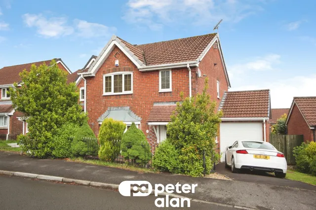 Llwyn Coed Blackwood, NP12, photo 1