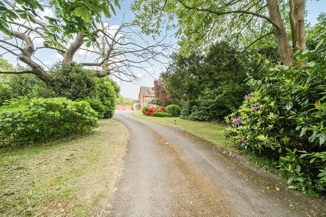 Photo 3 — Main Road, TN16