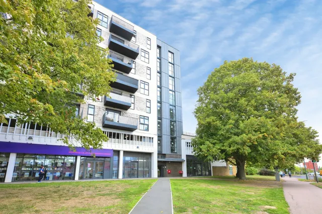 Wych Elm, Harlow, photo 1