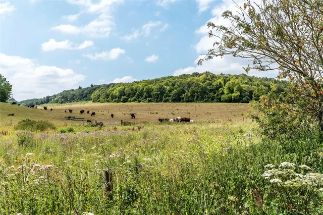 Photo 2 — Shacklands Road, Shoreham, Sevenoaks, Kent, TN14 7TX