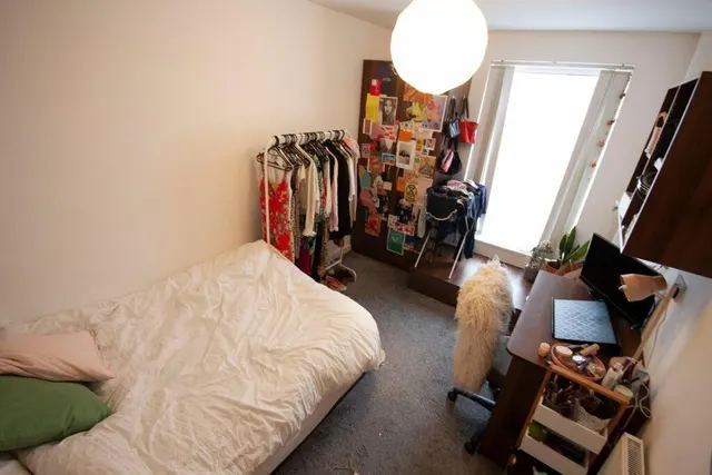 Thornville Grove, Hyde Park, LS6, photo 3