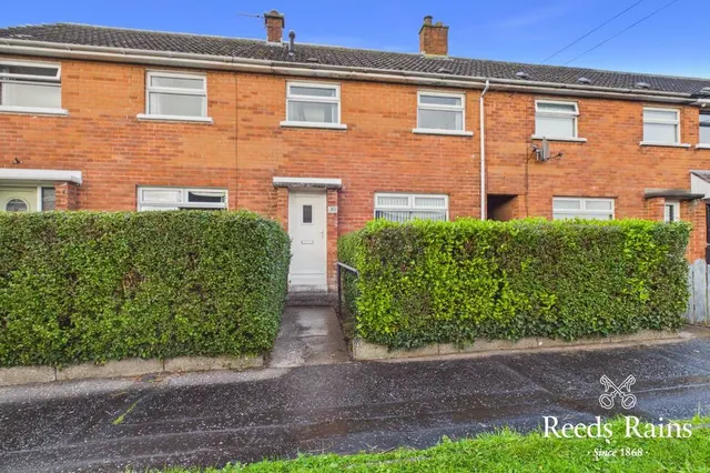 Brooklands Gardens, Dundonald, BT16, photo 1