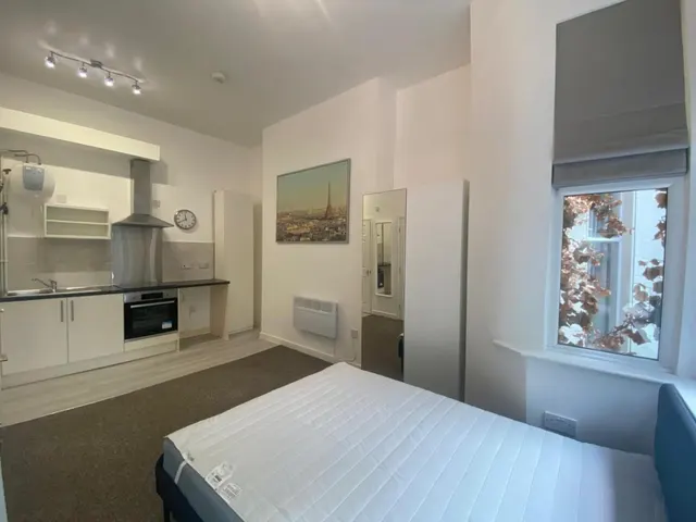 Greenheys Road, Toxteth, L8, photo 3