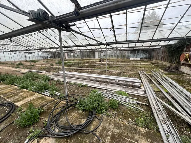Photo 2 — Cedar Nursery, Sandy Lane, Belbins, Romsey, SO51 0AN