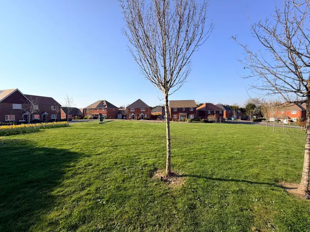 Blackhall Meadow, Loxwood, RH14, photo 1