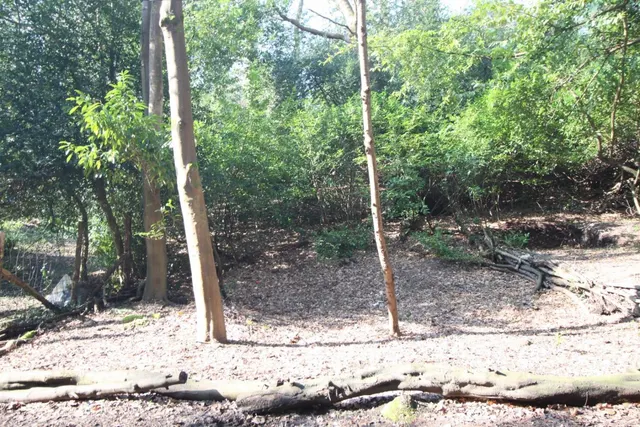 Gas House Hill, Netley Abbey, SO31, photo 1