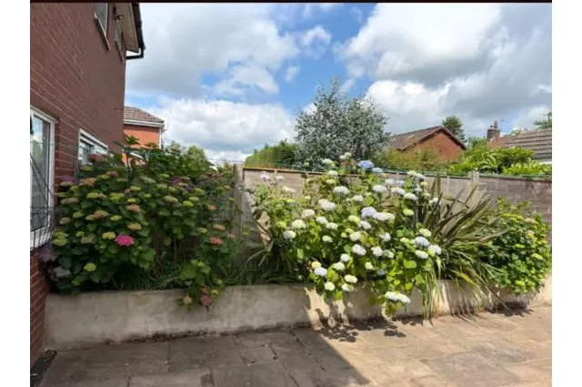 Quakerfields, Westhoughton, BL5, photo 2