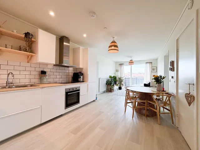 Hazel road, Bristol, photo 1