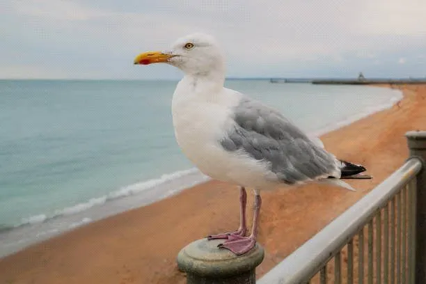 Photo 2 — Kent Terrace, Ramsgate, Kent, CT11
