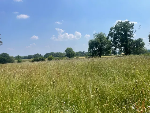 Photo 3 — Landford Wood, Salisbury, Wiltshire, SP5 2ES