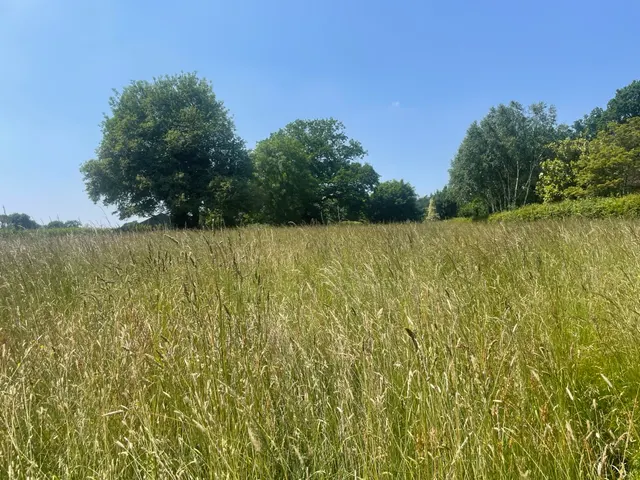 Photo 2 — Landford Wood, Salisbury, Wiltshire, SP5 2ES