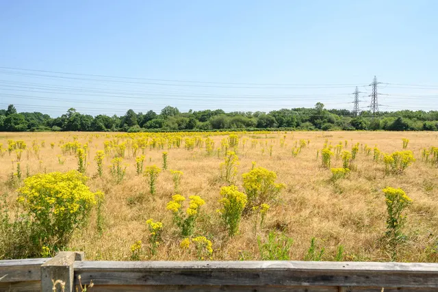 Photo 3 — Weybridge Park Estate, Addlestone KT15 2RB