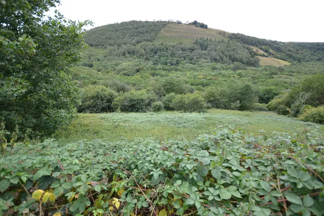 Cwmdu, Llandeilo, SA19, photo 3