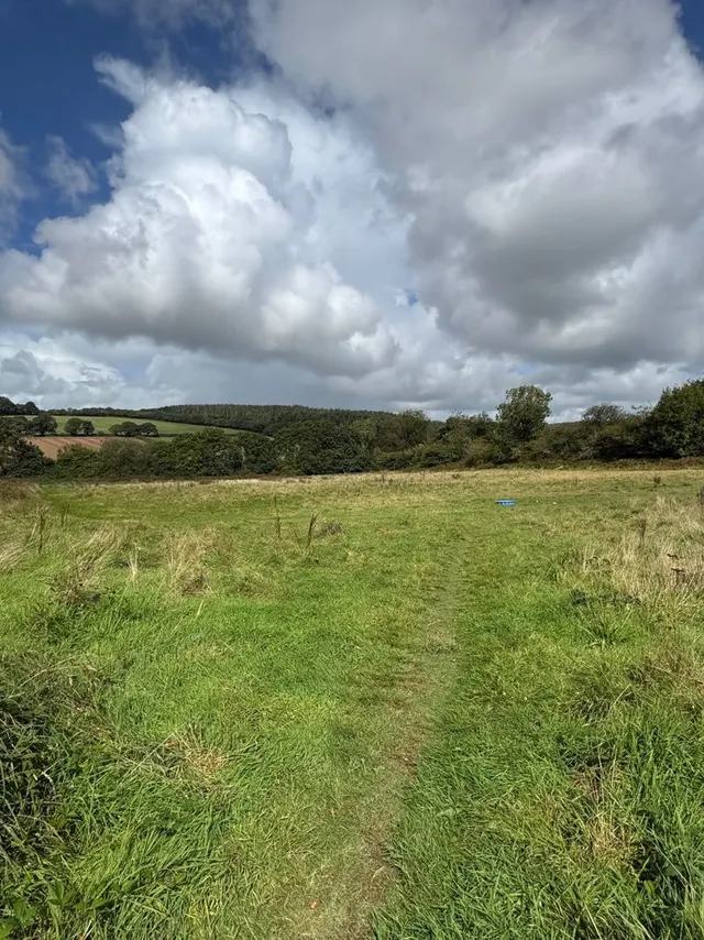 Fletchers Bridge, Bodmin, PL30, photo 1
