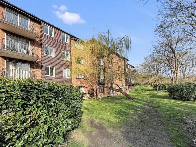 Steep Hill, Croydon, photo 1