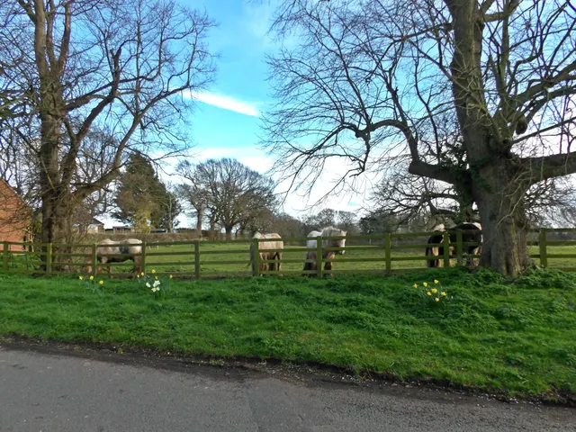 Main Street, Shelton, NG23, photo 2
