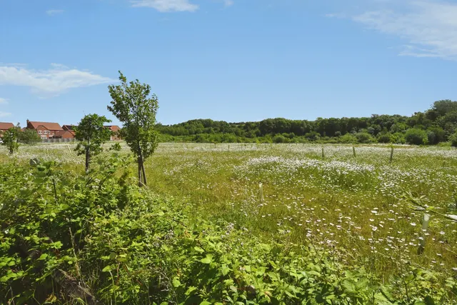 Grafham Drive, Waddington, LN5, photo 2