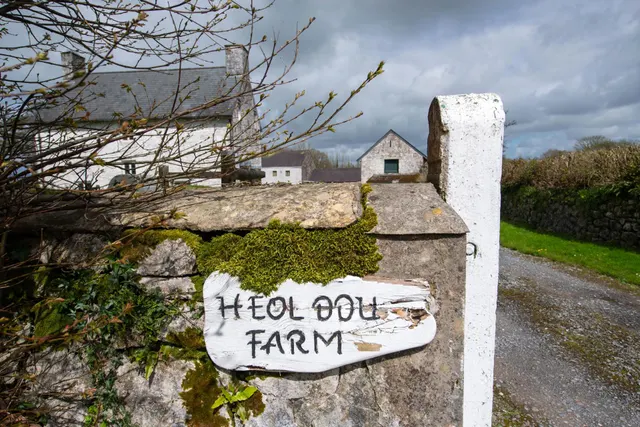 Heol Ddu Farm, Cefneithin, photo 3