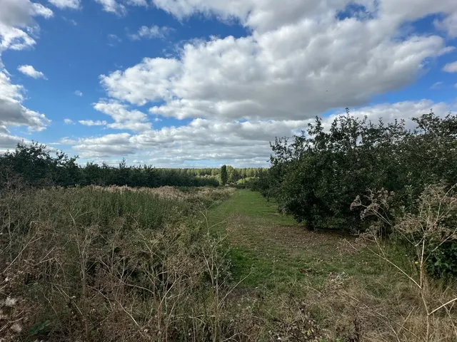 Dormington, Hereford, photo 2