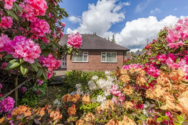 Saddlers Wells, Tarporley, photo 3