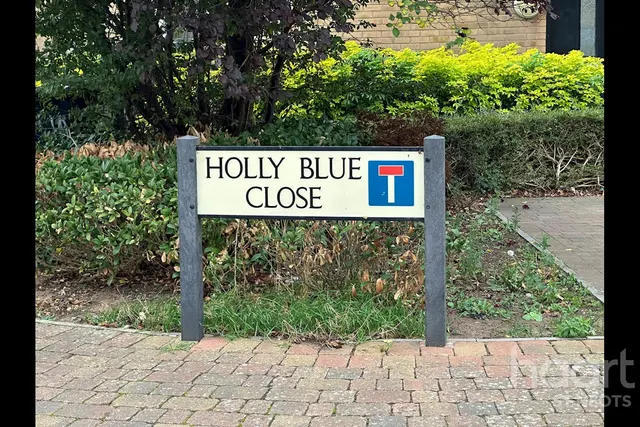 Holly Blue Close, Little Paxton, PE19, photo 2