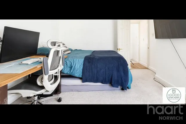 Nelson Street, Norwich, NR2, photo 3