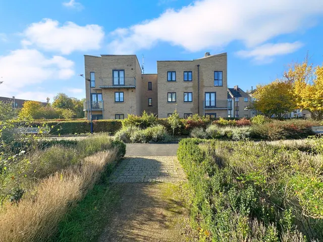 Aster Way, Cambridge, CB4, photo 1