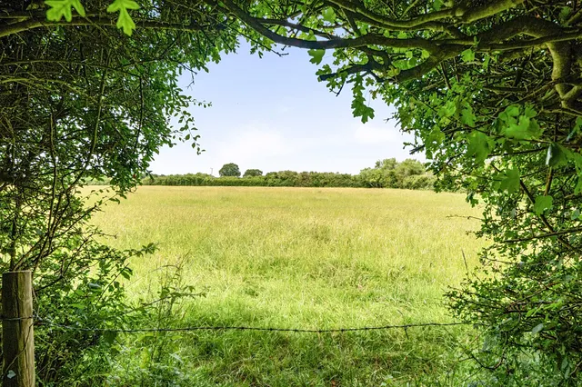 Photo 2 — Manley James Close, Odiham, Hook, RG29 1AP
