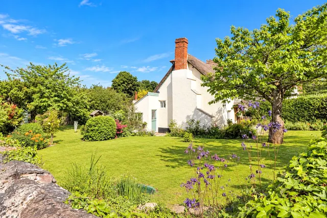 Old Cleeve, Minehead, TA24, photo 3