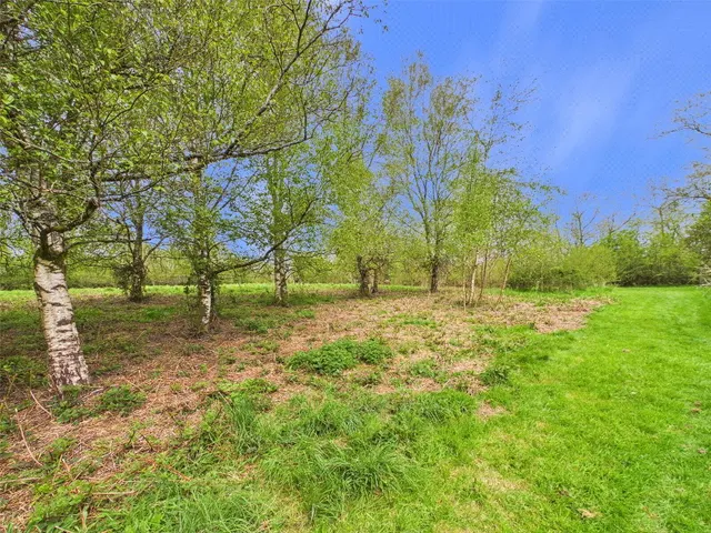 Winkleigh, EX19, photo 2