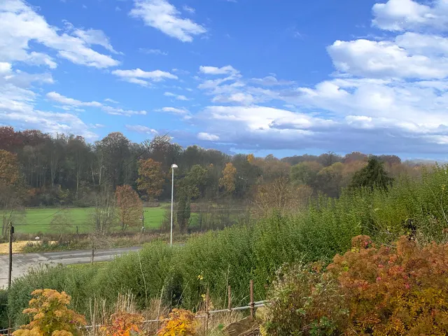 Newmillerdam, Wakefield, photo 2