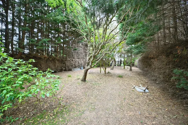 Photo 3 — Glenfield Close, Outwell, WISBECH