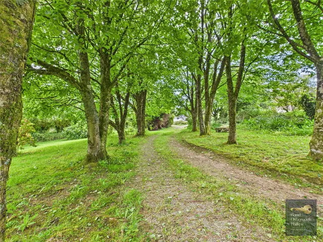 Dowland, Winkleigh, EX19, photo 3