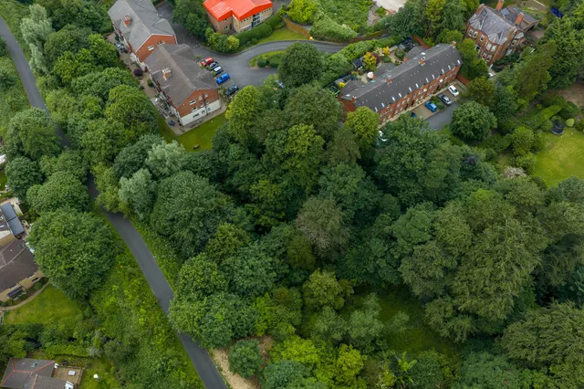 Kings Road, Ballyhackamore, BT5, photo 3