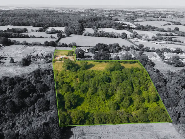 Wood Drove, Bowdens, photo 1
