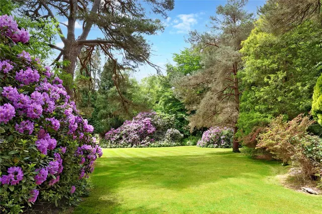 Photo 3 — Portnall Drive, Wentworth Estate, Virginia Water, Surrey, GU25 4NN
