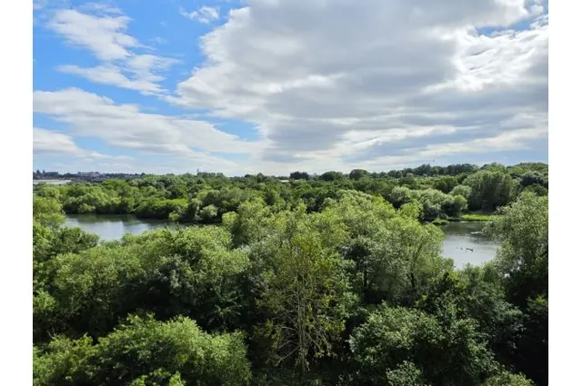 19 Moorhen Drive, London, photo 1