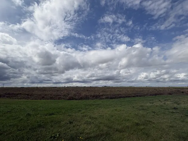 Fodder Fen, March, PE15, photo 2