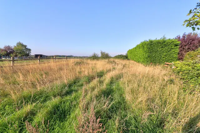 School Road, Terrington St John, PE14, photo 1