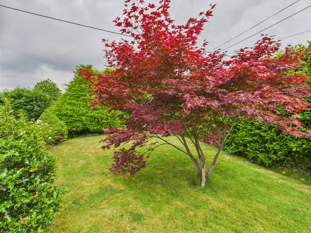 Photo 3 — Old Kempshott Lane, Basingstoke, RG22