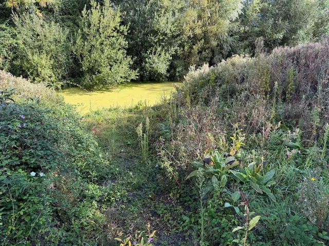 Merry Lane, Bason Bridge, TA9, photo 3