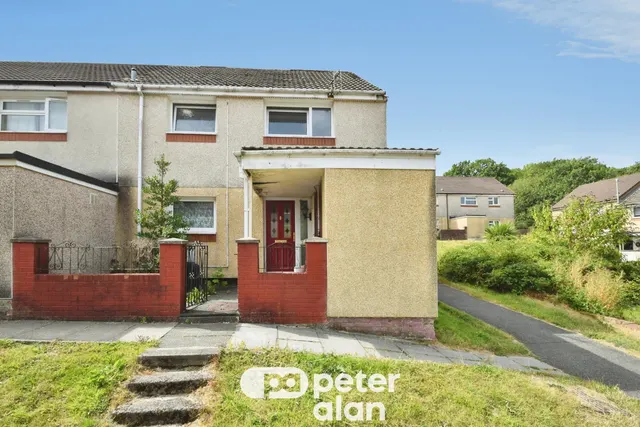 Fernhill Mountain Ash, CF45, photo 1