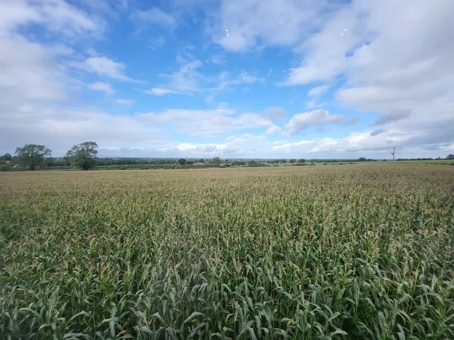 Riddings Lane, Draycott-in-the-Clay, photo 2